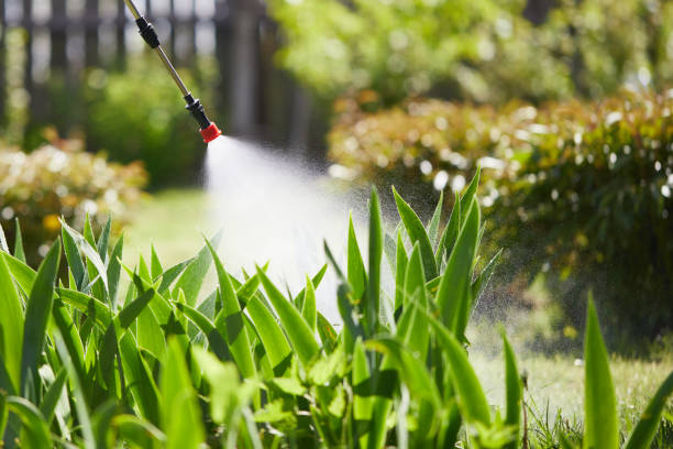 24/7 Emergency Mosquito Control experts in Woods Creek, WA