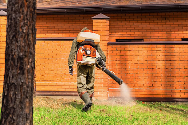 Trusted Mosquito Control service in Woods Creek, WA - Nex Pest Control